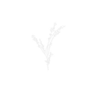 Home Graphic 2.png